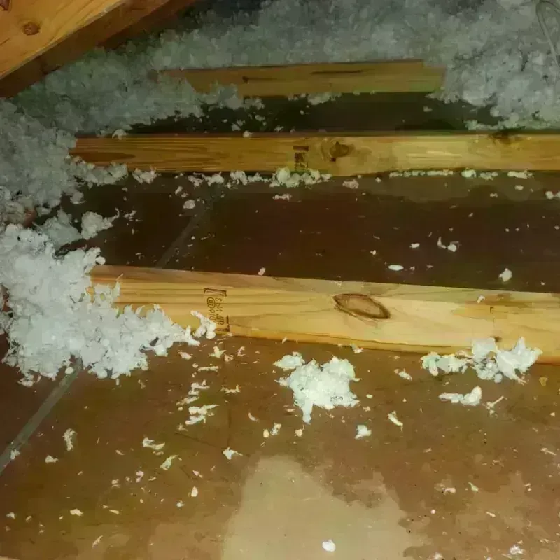 Attic Water Damage in Frankfort, ME